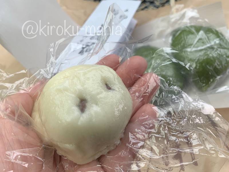 f:id:kiroku-mania:20210708212910j:plain