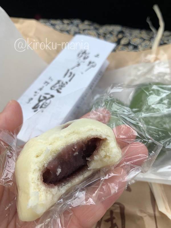 f:id:kiroku-mania:20210708212914j:plain