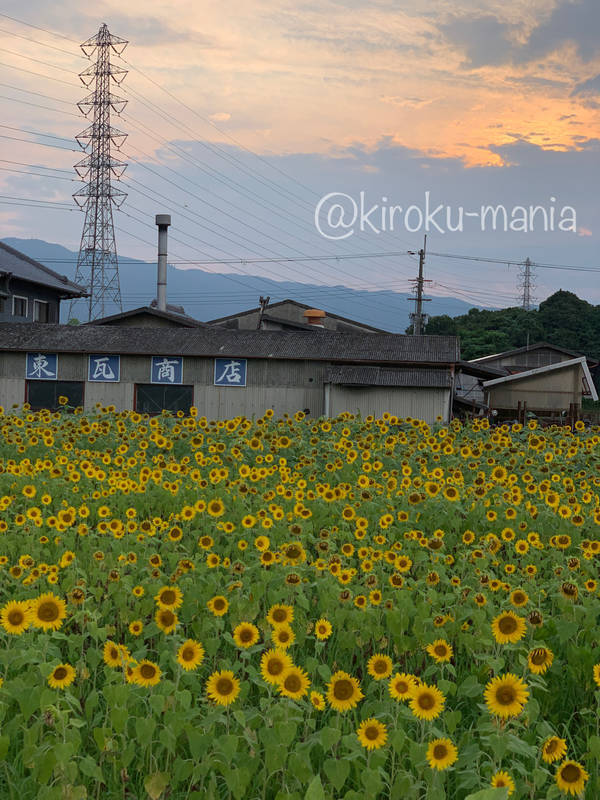 f:id:kiroku-mania:20211119232027j:plain