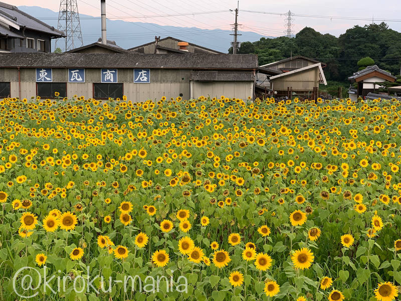 f:id:kiroku-mania:20211119232033j:plain