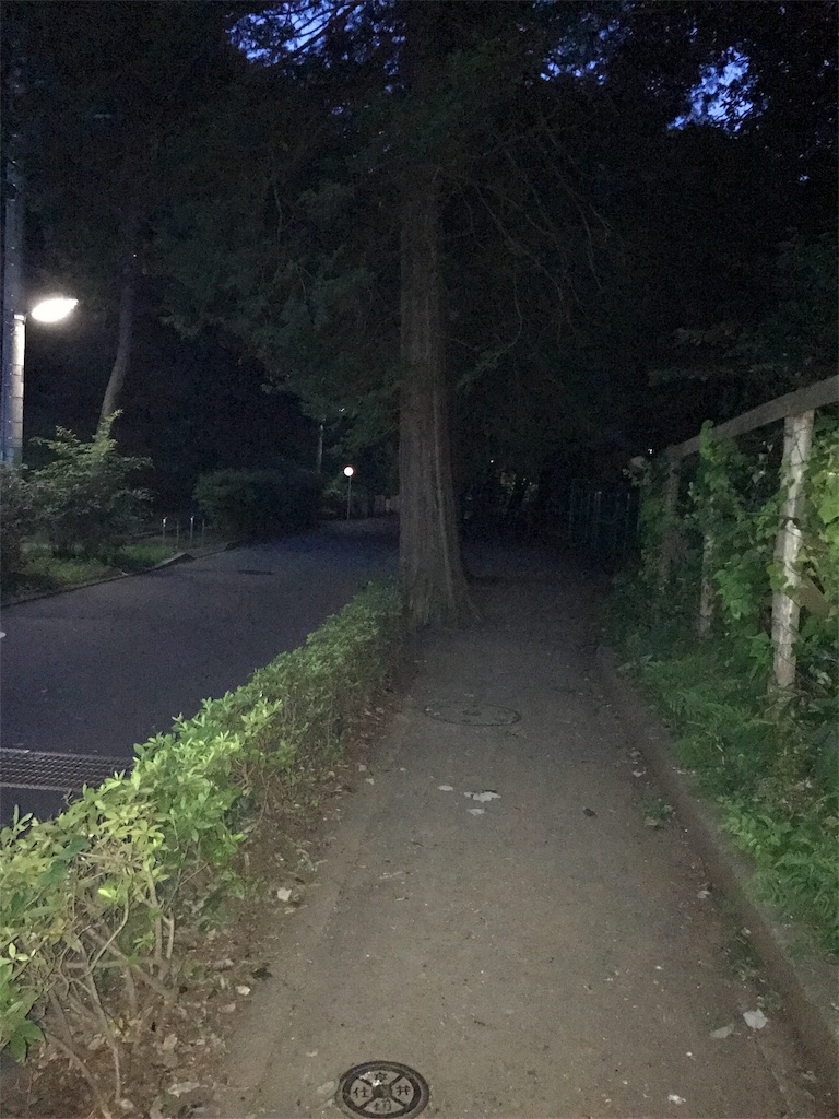 f:id:kirokuever:20170826205109j:image f:id:kirokuever:20170826205109j:image