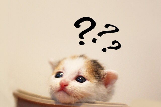 f:id:kirokuko2:20190205023709j:plain f:id:kirokuko2:20190205023709j:plain