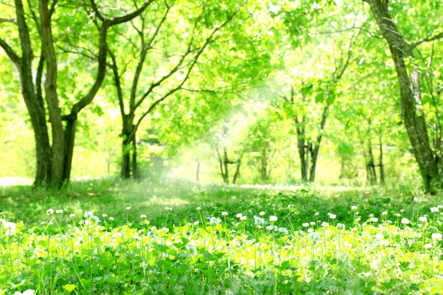 f:id:kirokuko2:20190205024711j:plain f:id:kirokuko2:20190205024711j:plain