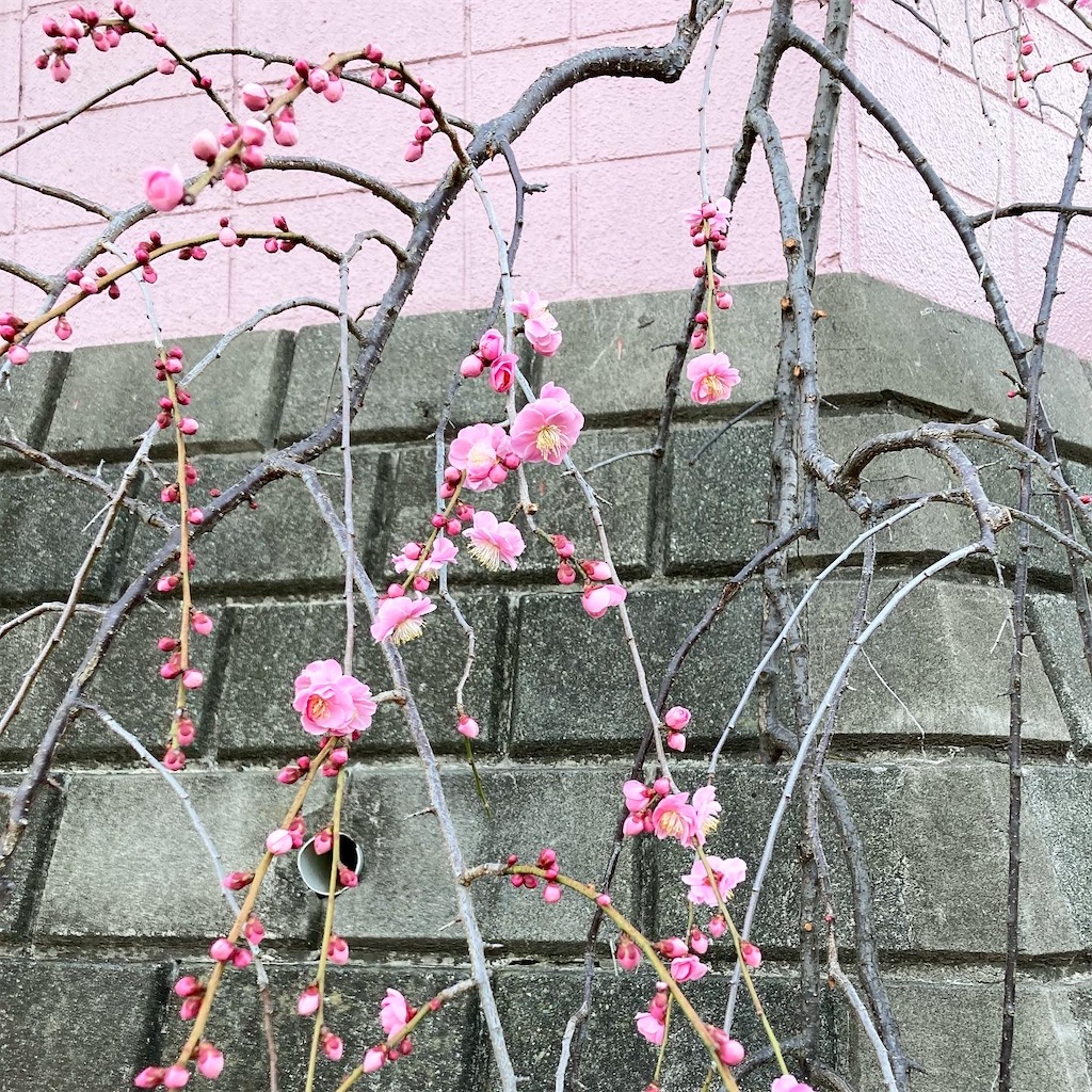 f:id:kisakishoes:20220302134326j:image