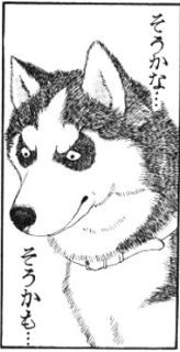 f:id:kisamoko:20241114175601j:image