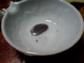 20070217164308