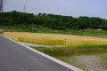 20120519090405