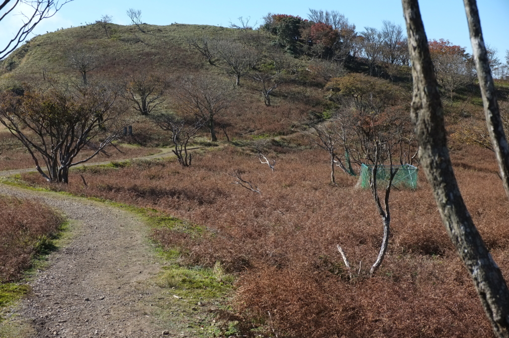 f:id:kisaragi5:20161105101058j:plain