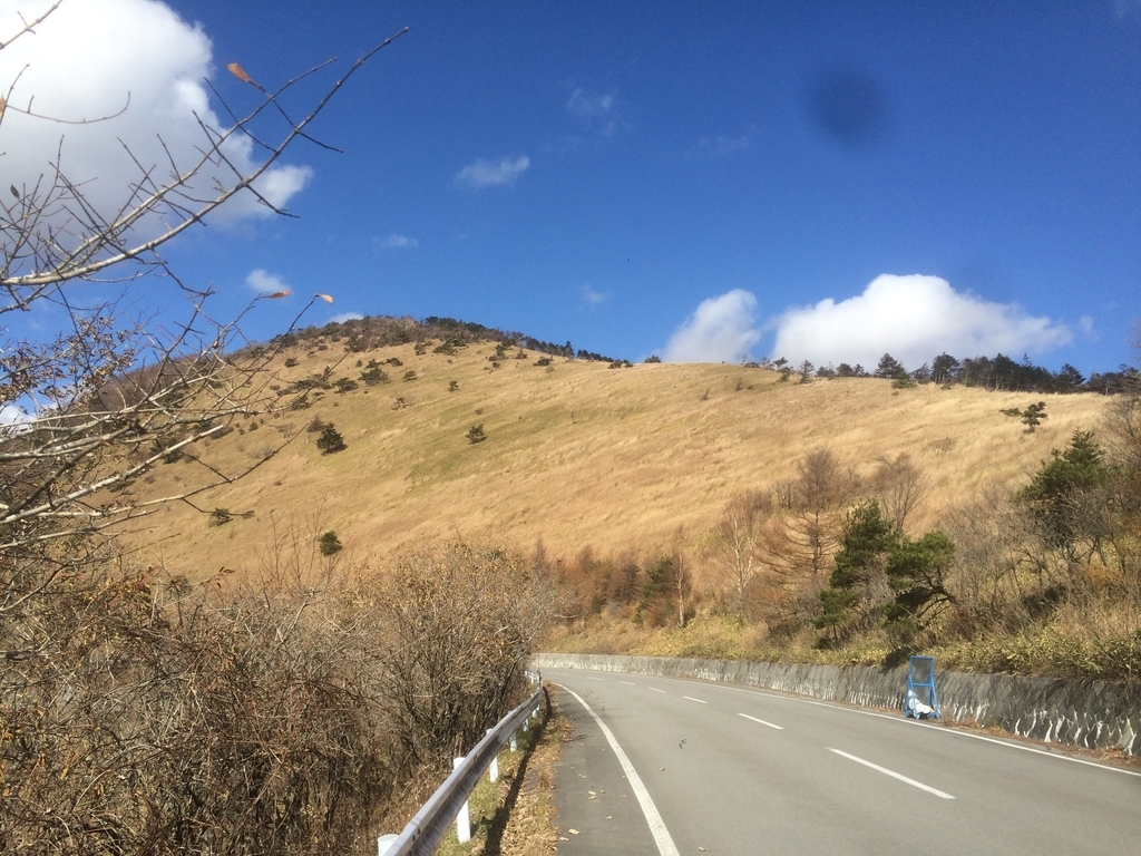 f:id:kisaragi5:20181103115711j:plain