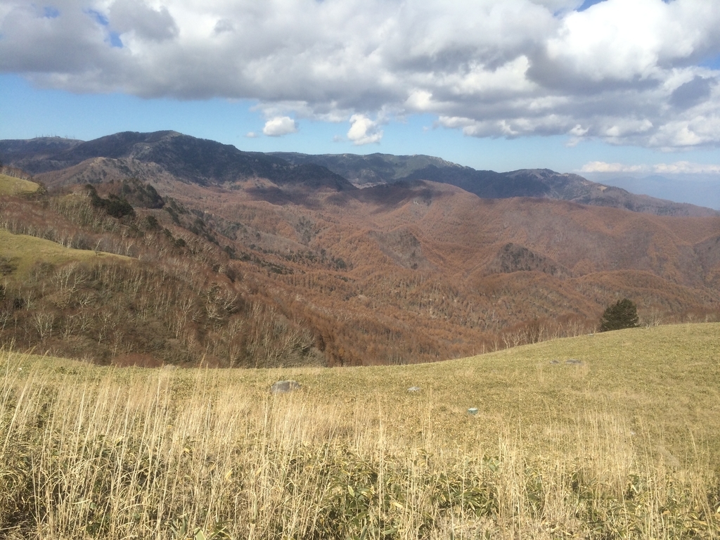 f:id:kisaragi5:20181103124029j:plain