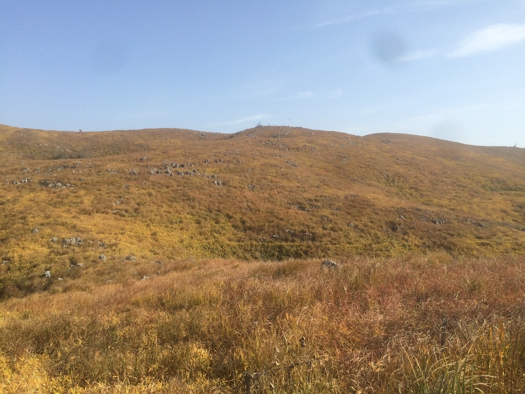 f:id:kisaragi5:20181201125733j:plain