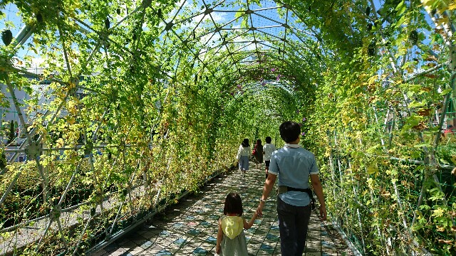 f:id:kisaragikyo:20160810085316j:image f:id:kisaragikyo:20160810085316j:image