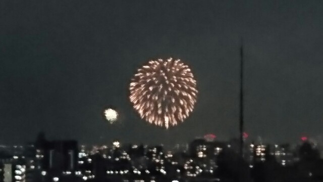 f:id:kisaragikyo:20160810113146j:image f:id:kisaragikyo:20160810113146j:image