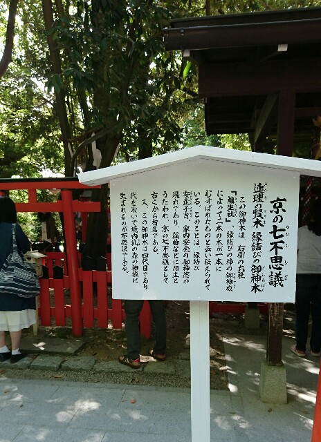 f:id:kisaragikyo:20170506144343j:image f:id:kisaragikyo:20170506144343j:image