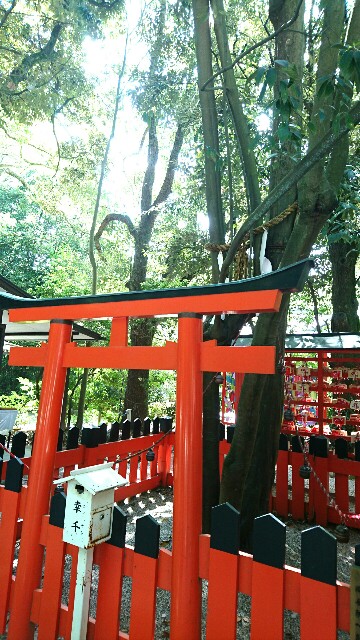 f:id:kisaragikyo:20170506145034j:image f:id:kisaragikyo:20170506145034j:image