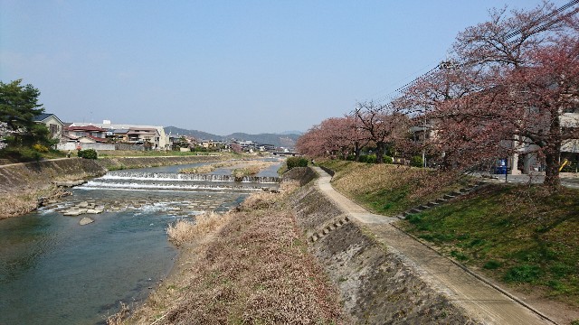 f:id:kisaragikyo:20180326142624j:image f:id:kisaragikyo:20180326142624j:image