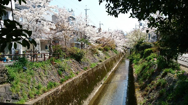 f:id:kisaragikyo:20180328152428j:image f:id:kisaragikyo:20180328152428j:image