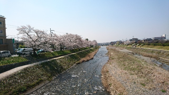 f:id:kisaragikyo:20180328152606j:image f:id:kisaragikyo:20180328152606j:image