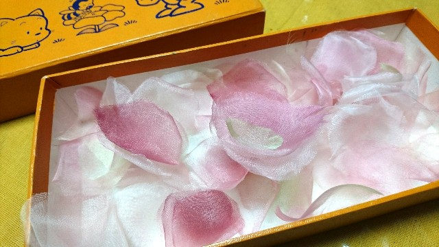 f:id:kisaragikyo:20180613093631j:image f:id:kisaragikyo:20180613093631j:image
