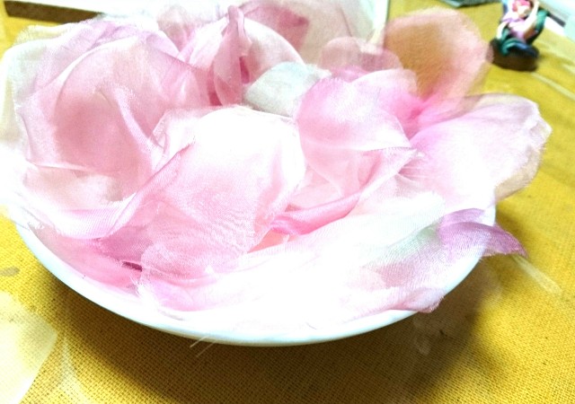 f:id:kisaragikyo:20180613094029j:image f:id:kisaragikyo:20180613094029j:image