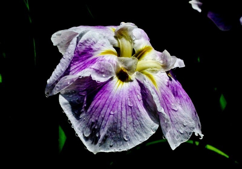 f:id:kisasa:20180610144557j:plain