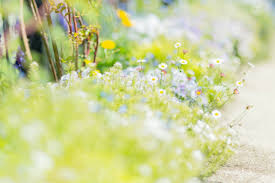 f:id:kisekisupport:20210122121913j:plain