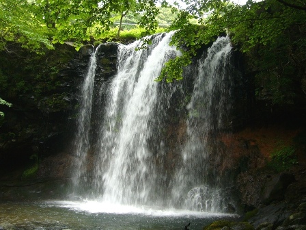 f:id:kisekisupport:20211120083439j:plain