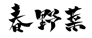 春野菜 イラスト 筆文字 季節の風景 写真 イラスト素材