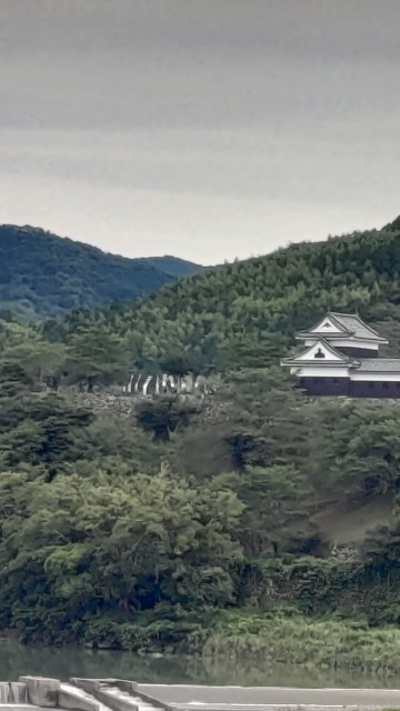 f:id:kisetuf:20210723095237j:image f:id:kisetuf:20210723095237j:image