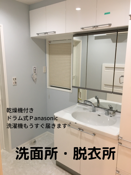 脱衣洗面所はアイスブルークロス映えの為に昼白色