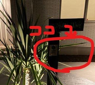 手つかずのガーデン