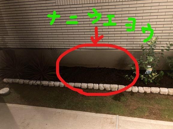 最後の1本