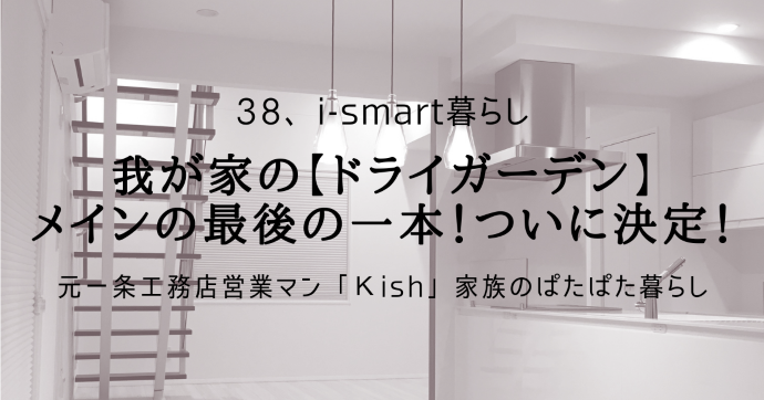 我が家の【ドライガーデン】メインの最後の一本！ついに決定！