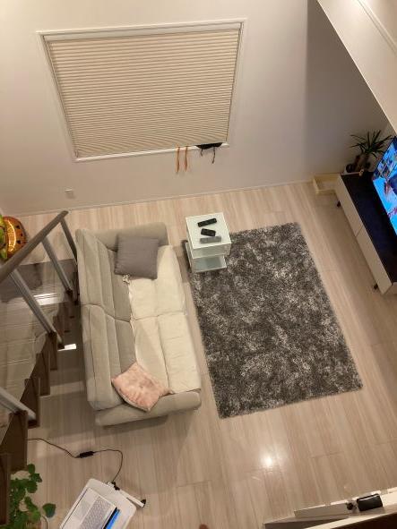 猫走りからラグを見る