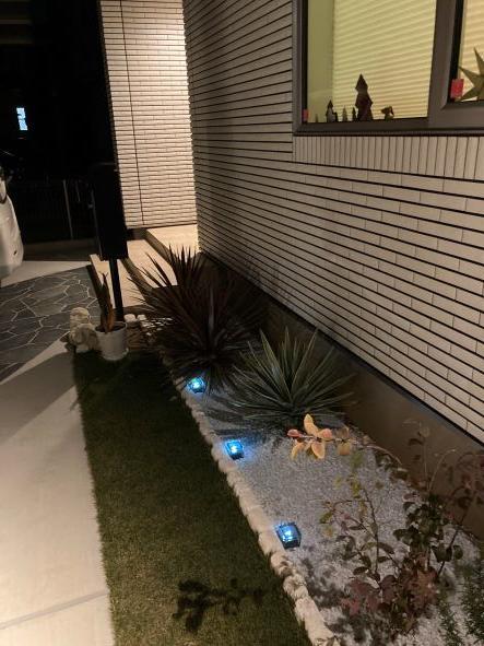 夜のドライガーデン