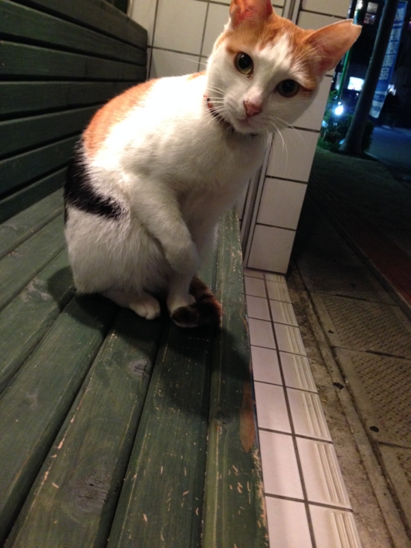 f:id:kishimaiko_diary:20131210190444j:image:w440 f:id:kishimaiko_diary:20131210190444j:image:w440