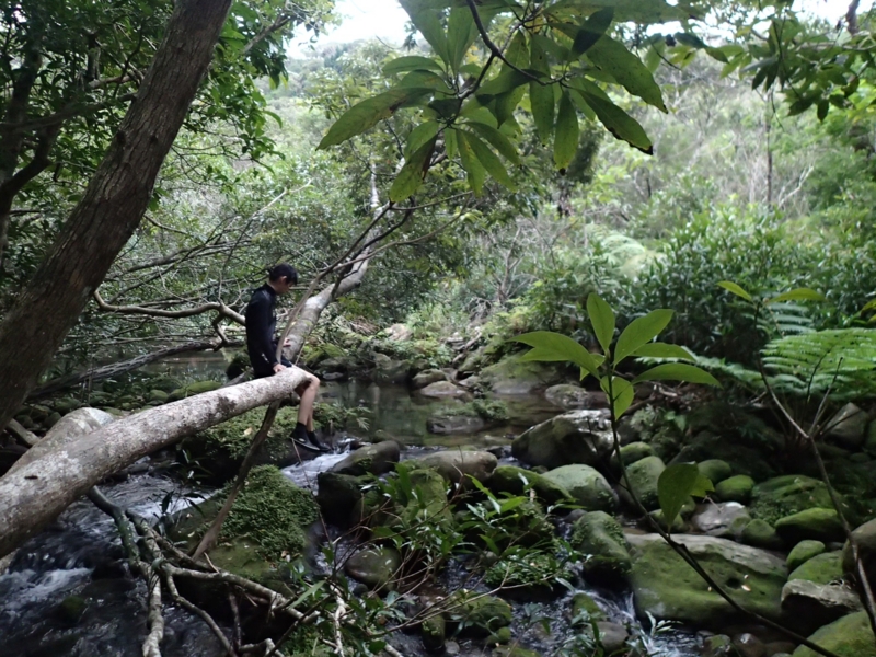 f:id:kishimaiko_diary:20131211170537j:image:w440 f:id:kishimaiko_diary:20131211170537j:image:w440