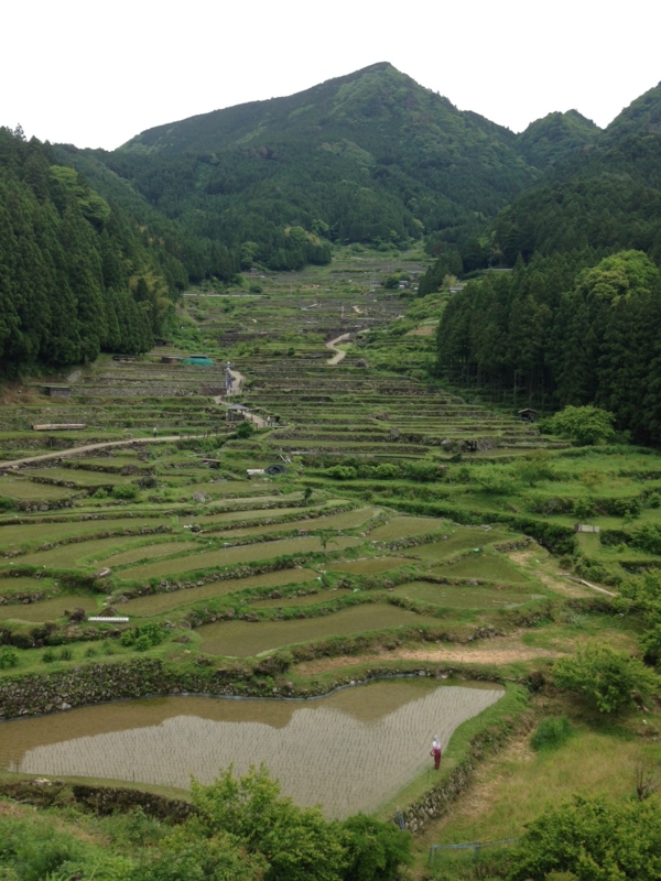 f:id:kishimaiko_diary:20140527104835j:image:w540 f:id:kishimaiko_diary:20140527104835j:image:w540