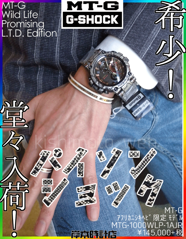 MTG-B1000WLP-1AJR #パイソンショック #アフリカニシキヘビ MTG-B1000WLP-1AJR #パイソンショック #アフリカニシキヘビ