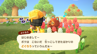 f:id:kishiro100master:20200327235000j:plain