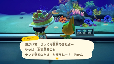 f:id:kishiro100master:20200412223355j:plain