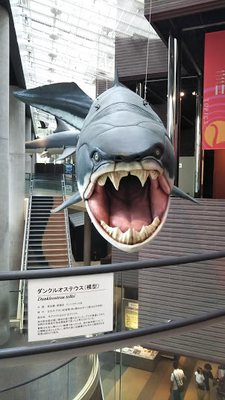 f:id:kishiro100master:20200412223413j:plain