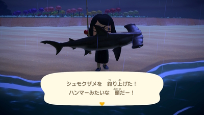 f:id:kishiro100master:20200609032608j:plain
