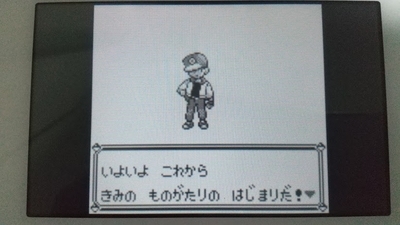 攻略ではなく冒険 ポケモン青プレイ日記1 すべての始まり ユキシロ日記