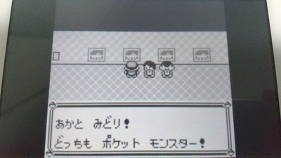 攻略ではなく冒険 ポケモン青プレイ日記5 スロットがやめられない ユキシロ日記 攻略ではなく冒険 ポケモン青プレイ日記5 スロットがやめられない ユキシロ日記