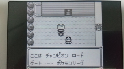 攻略ではなく冒険 ポケモン青プレイ日記11 レベル50のチーム ユキシロ日記 攻略ではなく冒険 ポケモン青プレイ日記11 レベル50のチーム ユキシロ日記