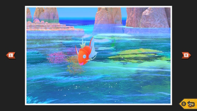 図鑑説明と共に Newポケモンスナップ プレイ日記17 ホエルオーウォッチング ユキシロ日記