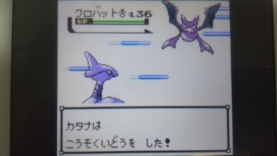 攻略ではなく冒険 ポケモンクリスタルプレイ日記25 観光施設に入れない ユキシロ日記