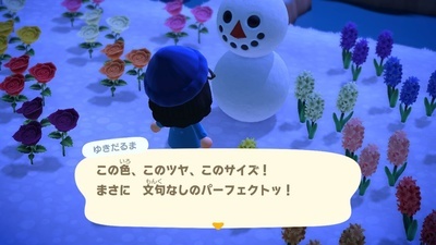 f:id:kishiro100master:20210708173536j:plain