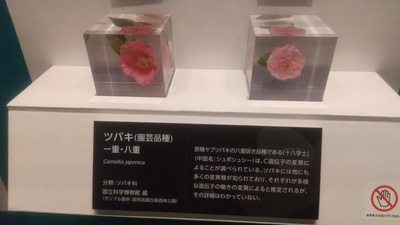 f:id:kishiro100master:20210715171335j:plain